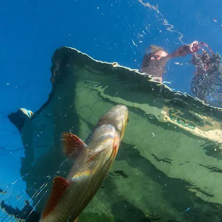 Semesterbostad Karelian Country Rastinniemi